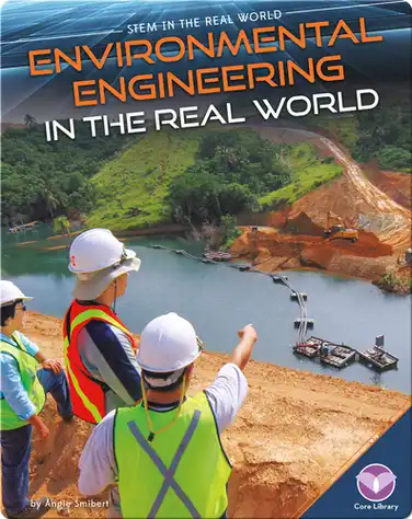 Environmental Engineering in the Real World book