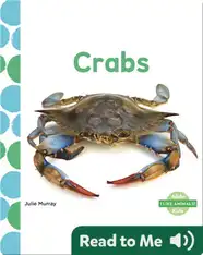 Crabs