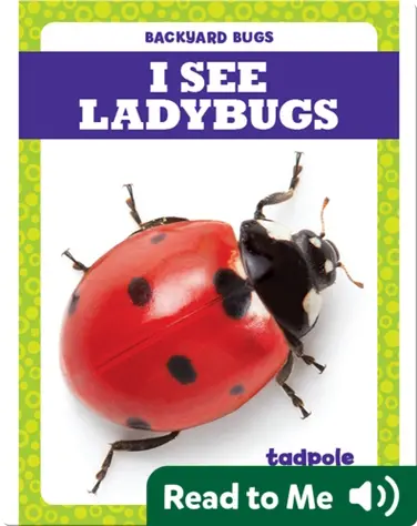 I See Ladybugs book