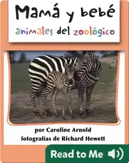 Mamá y bebé animales del zoológico