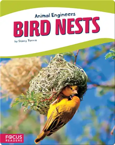 Animal Engineers: Bird Nests book