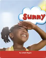 Sunny