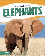 Animals of Africa: Elephants