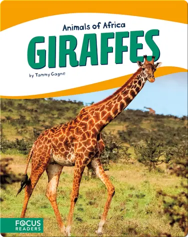 Giraffes book