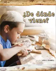 ¿De dónde viene?: Where Does It Come From?