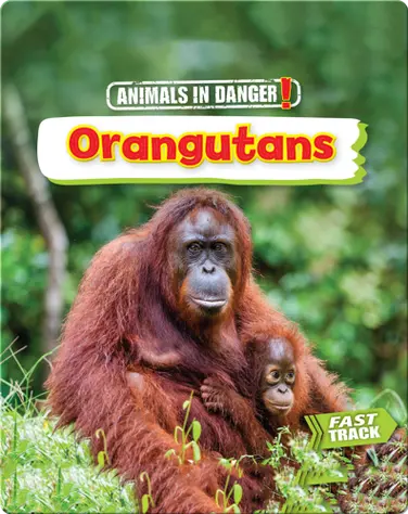 Animals in Danger: Orangutans book