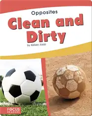 Opposites: Clean and Dirty