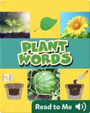 Plant Words