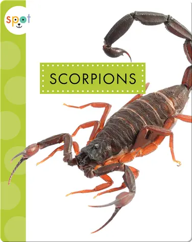 Creepy Crawlies: Scorpions book
