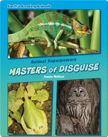 Masters of Disguise book