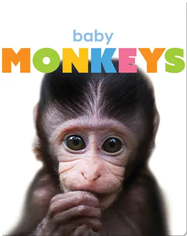 Starting Out: Baby Monkeys book