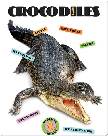 Crocodiles book