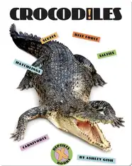 Crocodiles