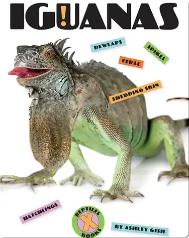 Iguanas book