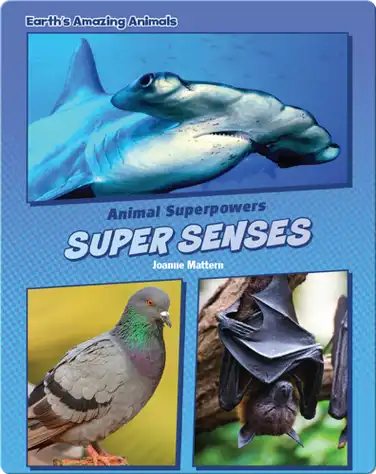 Super Senses book