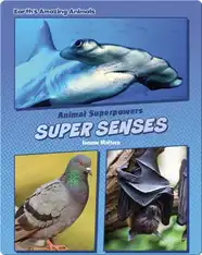 Super Senses
