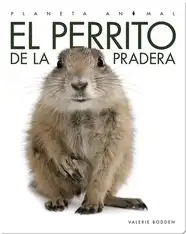 Planeta Animal: El Perrito de la Pradera