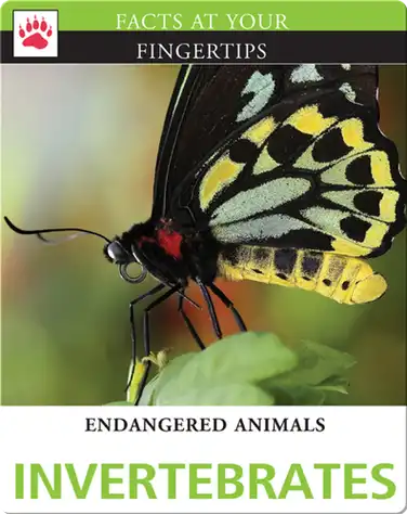 Endangered Animals: Invertebrates book