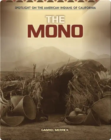 The Mono book