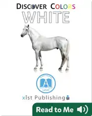 Discover Colors: White