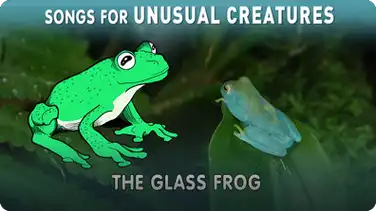 Songs for Unusual Creatures: The Glass Frog book