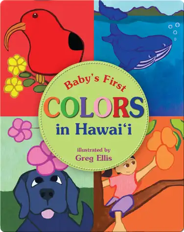 Baby's First Colors in Hawaii book