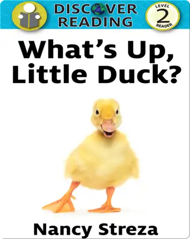 What's Up Little Duck book