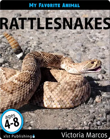 My Favorite Animal: Rattlesnakes book