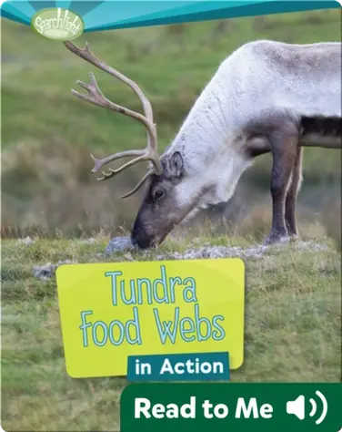 Tundra Food Webs in Action book