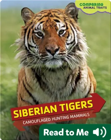 Siberian Tigers: Camouflaged Hunting Mammals book
