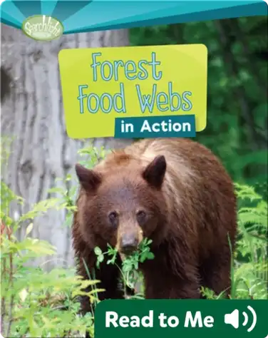 Forest Food Webs in Action book