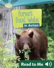 Forest Food Webs in Action