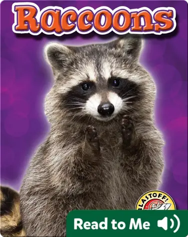 Raccoons: Backyard Wildlife book