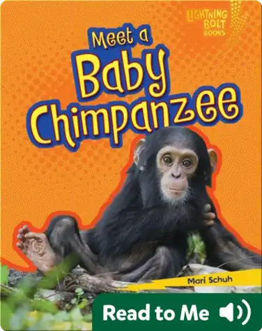 Meet a Baby Chimpanzee book