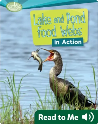 Lake and Pond Food Webs in Action book