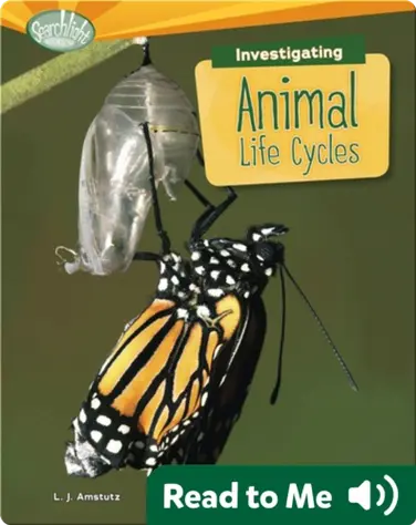 Investigating Animal Life Cycles book