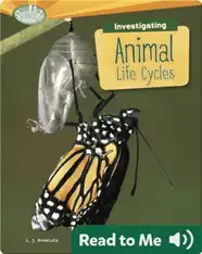 Investigating Animal Life Cycles