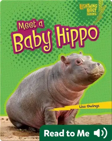 Meet a Baby Hippo book