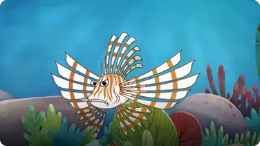 I'm A Lion Fish book