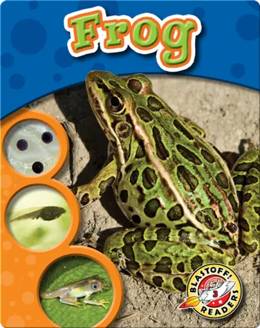 The Life Cycle of a Frog book