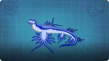 I’m A Blue Dragon Fish book