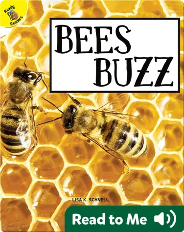 Beez Buzz book