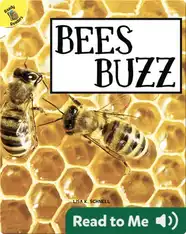 Beez Buzz
