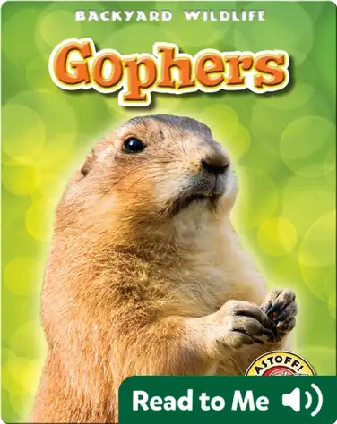 Gophers: Backyard Wildlife book