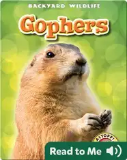 Gophers: Backyard Wildlife