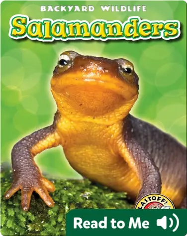 Salamanders: Backyard Wildlife book