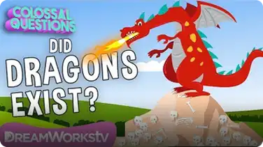 Did DRAGONS Ever Exist? | COLOSSAL QUESTIONS book