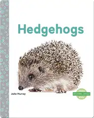 Hedgehogs