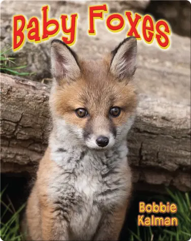 Baby Foxes book