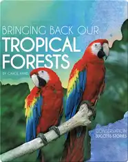 Bringing Back Our Tropical Forests